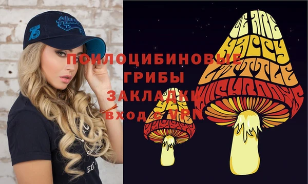 а пвп мука Ачинск