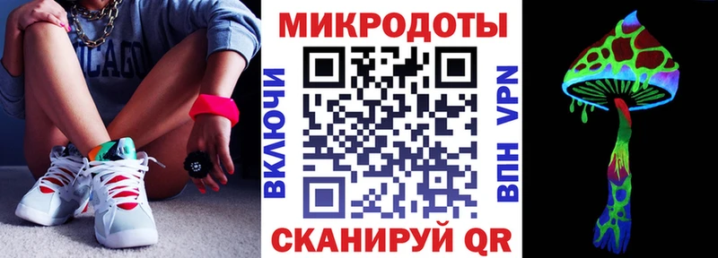 дарнет шоп  Петрозаводск  Псилоцибиновые грибы прущие грибы 