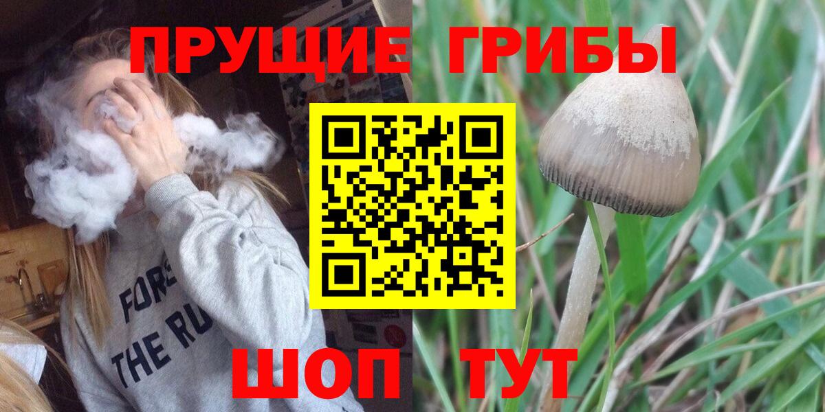 Псилоцибиновые грибы прущие грибы Петрозаводск