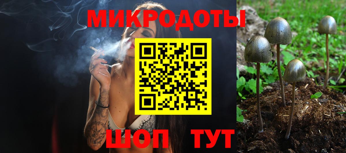 Псилоцибиновые грибы Psilocybine cubensis  Псилоцибиновые грибы прущие грибы  Петрозаводск  Вход с VPN 