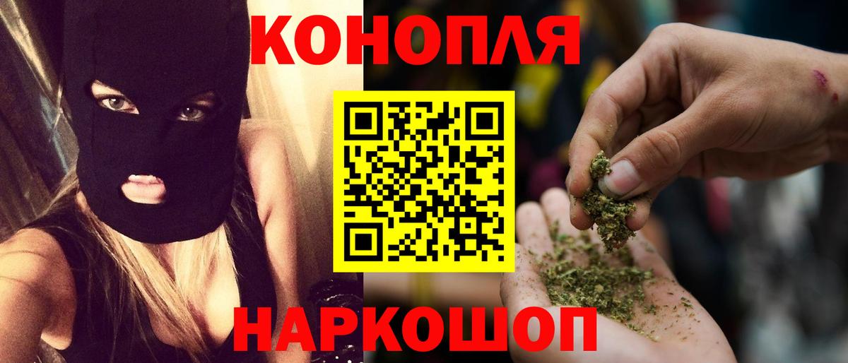 Бошки Шишки семена Петрозаводск
